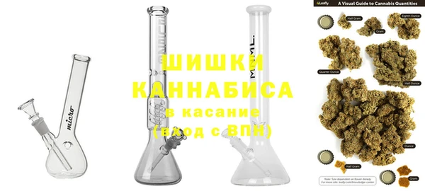 PSILOCYBIN Армянск