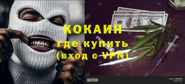 сатива Аркадак