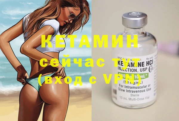 сатива Аркадак