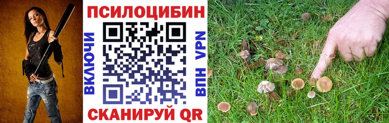 как найти   Усть-Илимск  blacksprut сайт  Псилоцибиновые грибы Magic Shrooms 